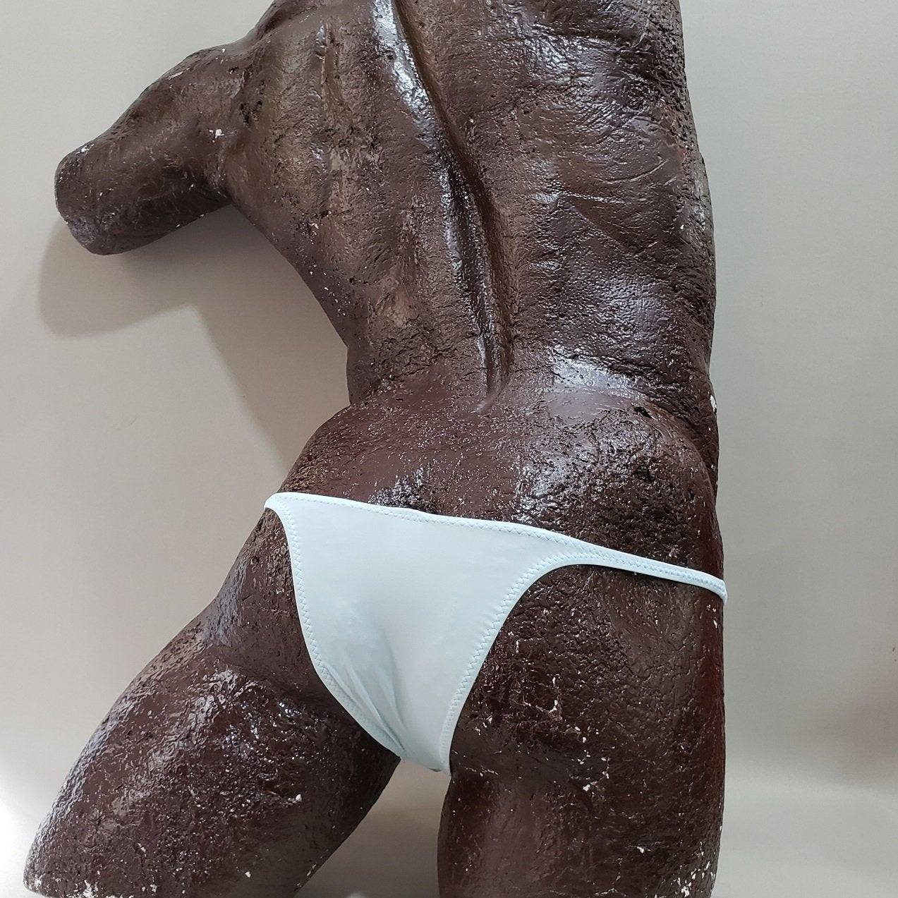 bwn439h マイクロシャープ リオバック BODYWEAR