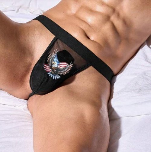 ipax1015g シースルーGスト MADE IN CHINA