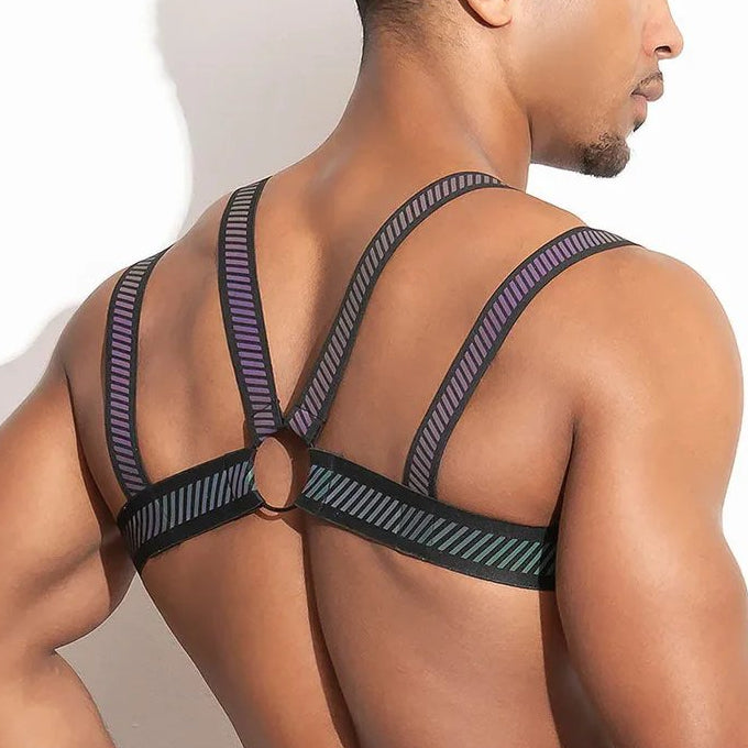 pack022hn ハーネス the pack