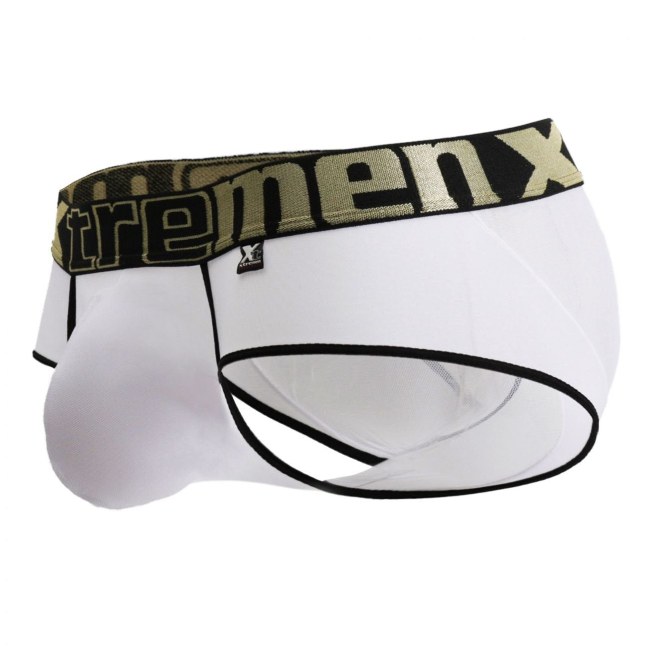 xt022f シースルーブリーフ Xtremen