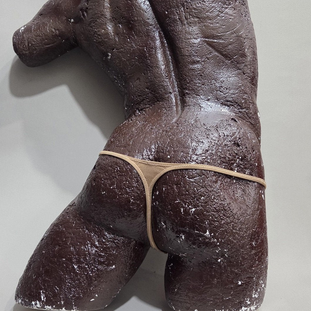 bwn654t  54tx   シャープTバック　 BODYWEAR