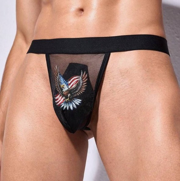 ipax1015g 	シースルーＧスト   MADE IN CHINA