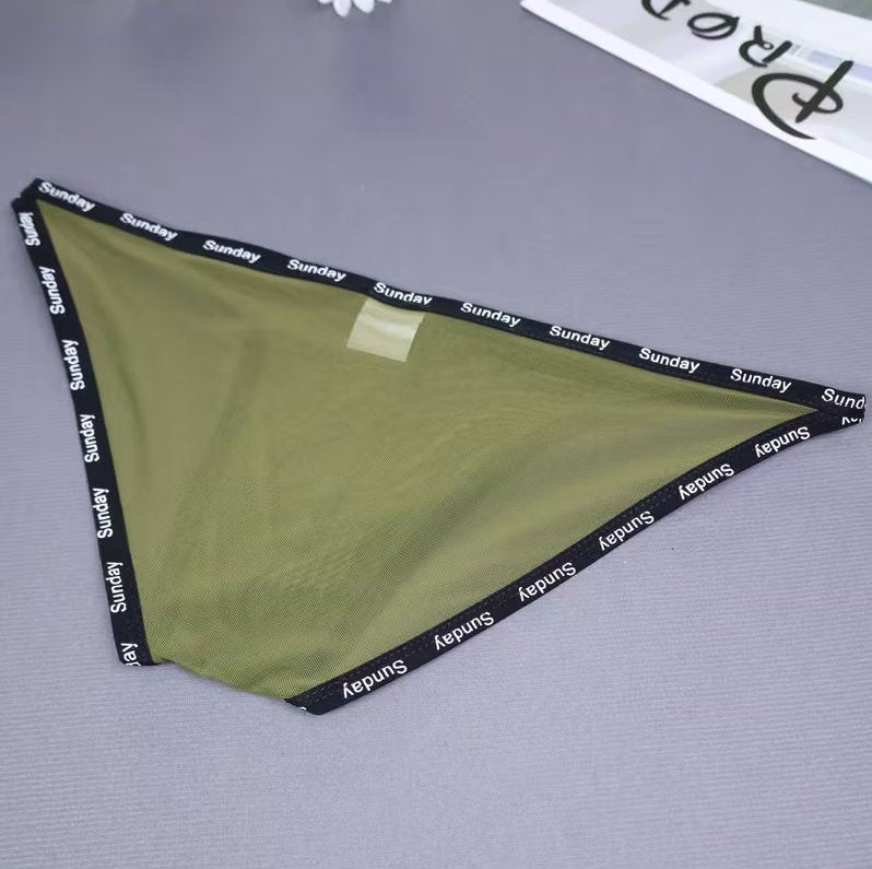 ipax1034h	メッシュビキニ   MADE IN CHINA